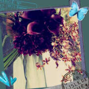 ヒメ日記 2025/11/26 14:16 投稿 沢本しのぶ TSUBAKI（水戸）