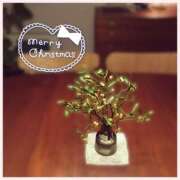 ヒメ日記 2025/12/24 16:45 投稿 沢本しのぶ TSUBAKI（水戸）