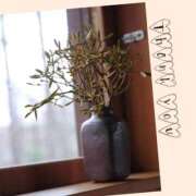 ヒメ日記 2025/12/25 12:00 投稿 沢本しのぶ TSUBAKI（水戸）