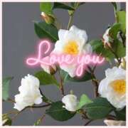 ヒメ日記 2025/12/31 10:28 投稿 沢本しのぶ TSUBAKI（水戸）