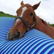 ヒメ日記 2026/01/04 14:19 投稿 沢本しのぶ TSUBAKI（水戸）