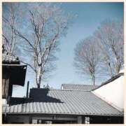 ヒメ日記 2026/02/11 23:10 投稿 沢本しのぶ TSUBAKI（水戸）