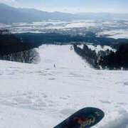 ヒメ日記 2026/02/19 12:28 投稿 沢本しのぶ TSUBAKI（水戸）