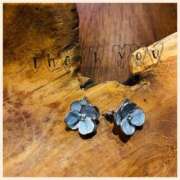 ヒメ日記 2026/02/20 16:46 投稿 沢本しのぶ TSUBAKI（水戸）