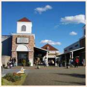 ヒメ日記 2026/03/23 22:33 投稿 沢本しのぶ TSUBAKI（水戸）