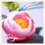 ヒメ日記 2026/04/06 10:33 投稿 沢本しのぶ TSUBAKI（水戸）