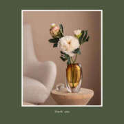 ヒメ日記 2026/05/28 11:11 投稿 沢本しのぶ TSUBAKI（水戸）