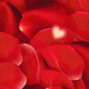 ヒメ日記 2025/06/18 17:22 投稿 えま 人妻美人館