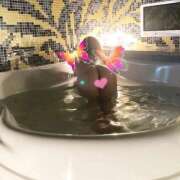 ヒメ日記 2025/08/06 09:38 投稿 えま 人妻美人館