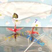 ヒメ日記 2025/08/26 12:25 投稿 えま 人妻美人館