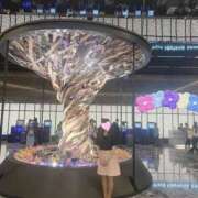 ヒメ日記 2025/05/13 10:09 投稿 みき 奥鉄オクテツ東京店（デリヘル市場）