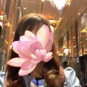 ヒメ日記 2025/06/16 11:57 投稿 みき 奥鉄オクテツ東京店（デリヘル市場）