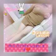 ヒメ日記 2024/12/29 19:18 投稿 国生(こくしょう) 八王子人妻城