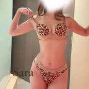 ヒメ日記 2026/02/27 23:31 投稿 沙羅 風神会館新宿店