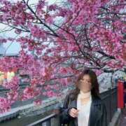 ヒメ日記 2026/04/30 22:10 投稿 沙羅 風神会館新宿店