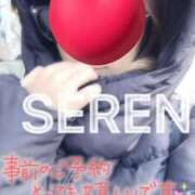 ヒメ日記 2024/12/14 16:04 投稿 せれん spicyな女たち