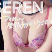 ヒメ日記 2024/12/18 23:46 投稿 せれん spicyな女たち