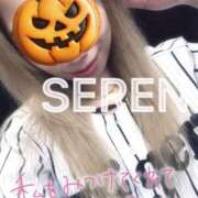 ヒメ日記 2025/03/29 13:35 投稿 せれん spicyな女たち