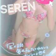 ヒメ日記 2025/04/19 18:16 投稿 せれん spicyな女たち