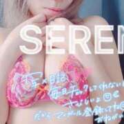 ヒメ日記 2025/04/28 18:15 投稿 せれん spicyな女たち