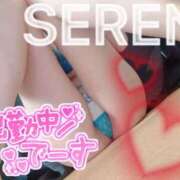 ヒメ日記 2025/05/02 15:05 投稿 せれん spicyな女たち