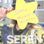 ヒメ日記 2025/09/08 13:54 投稿 せれん spicyな女たち