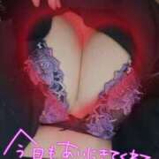 ヒメ日記 2025/10/31 14:03 投稿 せれん spicyな女たち