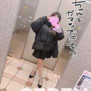 ヒメ日記 2026/02/23 16:01 投稿 せれん spicyな女たち