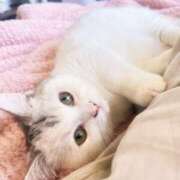 ヒメ日記 2025/01/09 20:19 投稿 めい Mrs Sirena（ミセスシレナ）