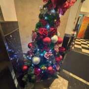 ヒメ日記 2024/12/18 20:50 投稿 植松 鶯谷デッドボール