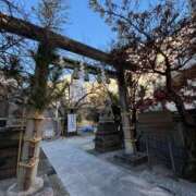 ヒメ日記 2024/12/23 20:49 投稿 植松 鶯谷デッドボール