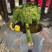 ヒメ日記 2025/01/29 22:22 投稿 植松 鶯谷デッドボール