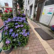 ヒメ日記 2025/06/07 20:49 投稿 植松 鶯谷デッドボール