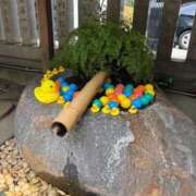 ヒメ日記 2025/08/29 21:19 投稿 植松 鶯谷デッドボール