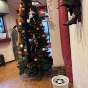 ヒメ日記 2025/10/09 20:54 投稿 植松 鶯谷デッドボール