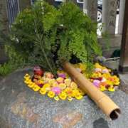 ヒメ日記 2025/11/08 20:49 投稿 植松 鶯谷デッドボール