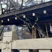 ヒメ日記 2026/01/26 20:39 投稿 植松 鶯谷デッドボール