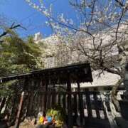 ヒメ日記 2026/02/21 21:19 投稿 植松 鶯谷デッドボール