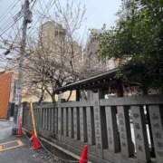 ヒメ日記 2026/02/26 20:54 投稿 植松 鶯谷デッドボール