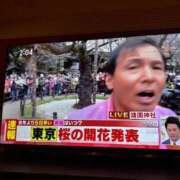 ヒメ日記 2026/03/19 21:03 投稿 植松 鶯谷デッドボール
