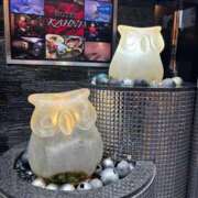 ヒメ日記 2026/04/14 20:39 投稿 植松 鶯谷デッドボール