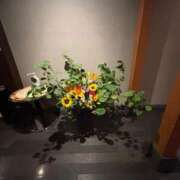 ヒメ日記 2026/05/17 20:49 投稿 植松 鶯谷デッドボール