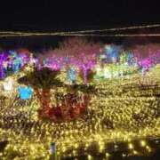 ヒメ日記 2025/11/14 23:39 投稿 バウエル 鶯谷デッドボール