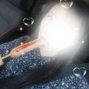 ヒメ日記 2025/04/27 12:06 投稿 ななみ ダイスキ