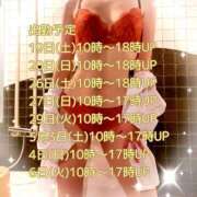 ヒメ日記 2025/04/17 13:58 投稿 宝城 すみれ 恋愛マット同好会