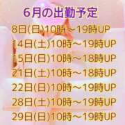 ヒメ日記 2025/06/11 18:08 投稿 宝城 すみれ 恋愛マット同好会