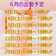 ヒメ日記 2025/06/18 13:38 投稿 宝城 すみれ 恋愛マット同好会
