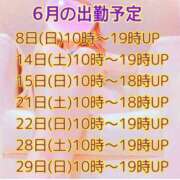 ヒメ日記 2025/06/25 16:38 投稿 宝城 すみれ 恋愛マット同好会