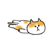 ヒメ日記 2025/08/31 06:58 投稿 宝城 すみれ 恋愛マット同好会