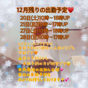 ヒメ日記 2025/12/14 12:28 投稿 宝城 すみれ 恋愛マット同好会